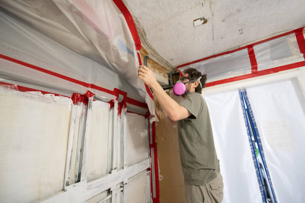 Trusted Brimfield, OH Mold Inspection, Removal & Remediation Experts